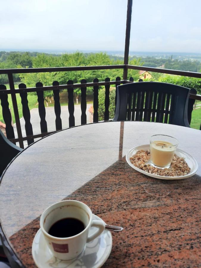 Guest House Blazevic Gornja Gracenica ภายนอก รูปภาพ