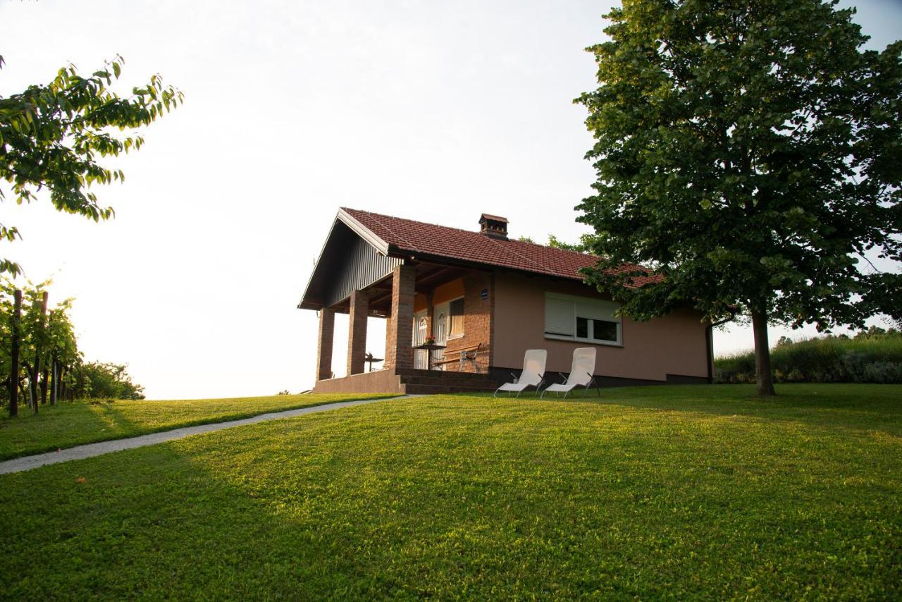 Guest House Blazevic Gornja Gracenica ภายนอก รูปภาพ