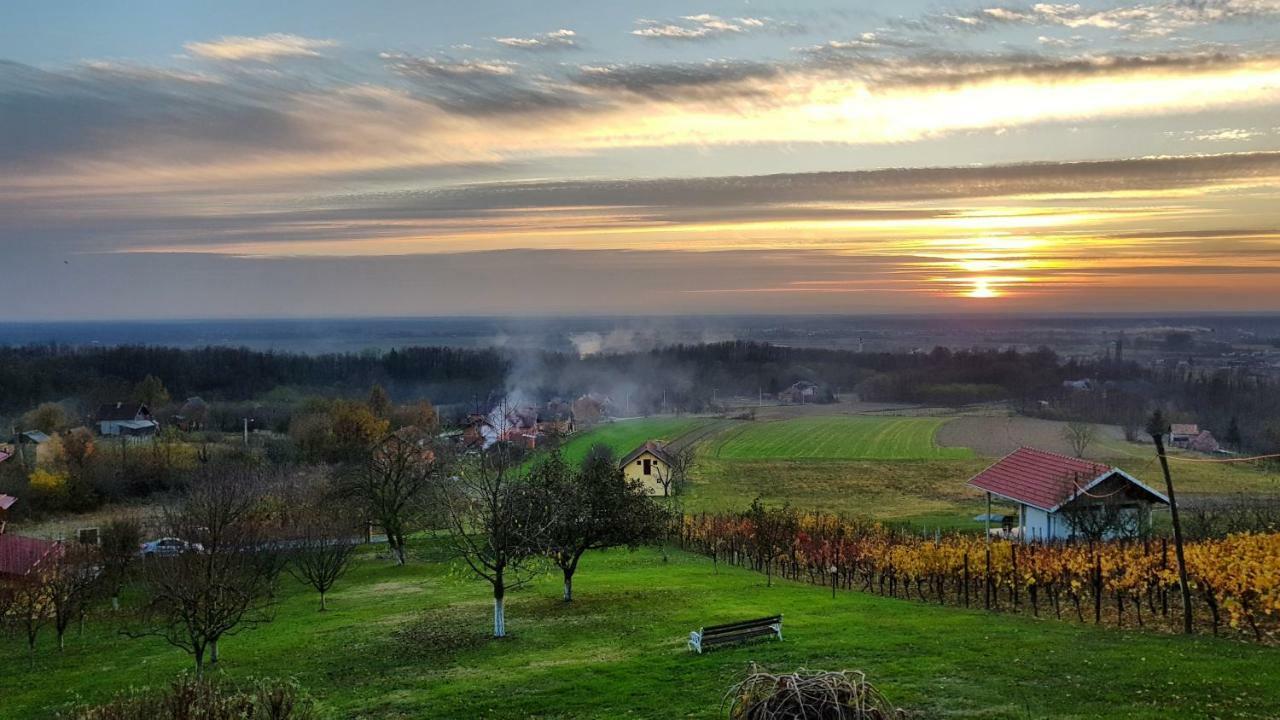 Guest House Blazevic Gornja Gracenica ภายนอก รูปภาพ
